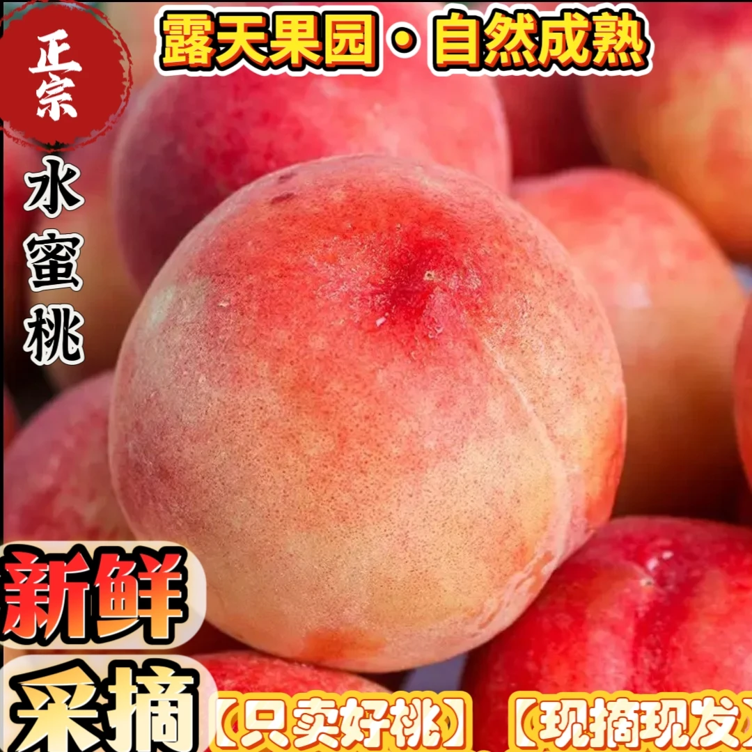 【现摘现发】正宗水蜜桃毛桃新鲜应季水果脆蜜桃产地直发