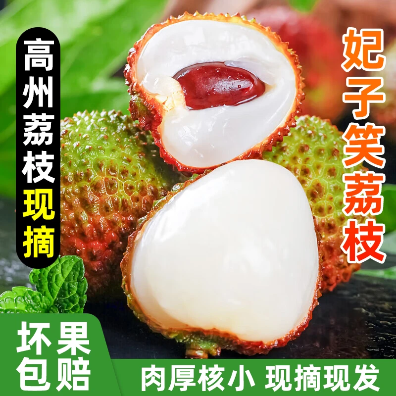 正宗高州妃子笑现摘现发新鲜水果应季水果爆甜老树荔枝包邮