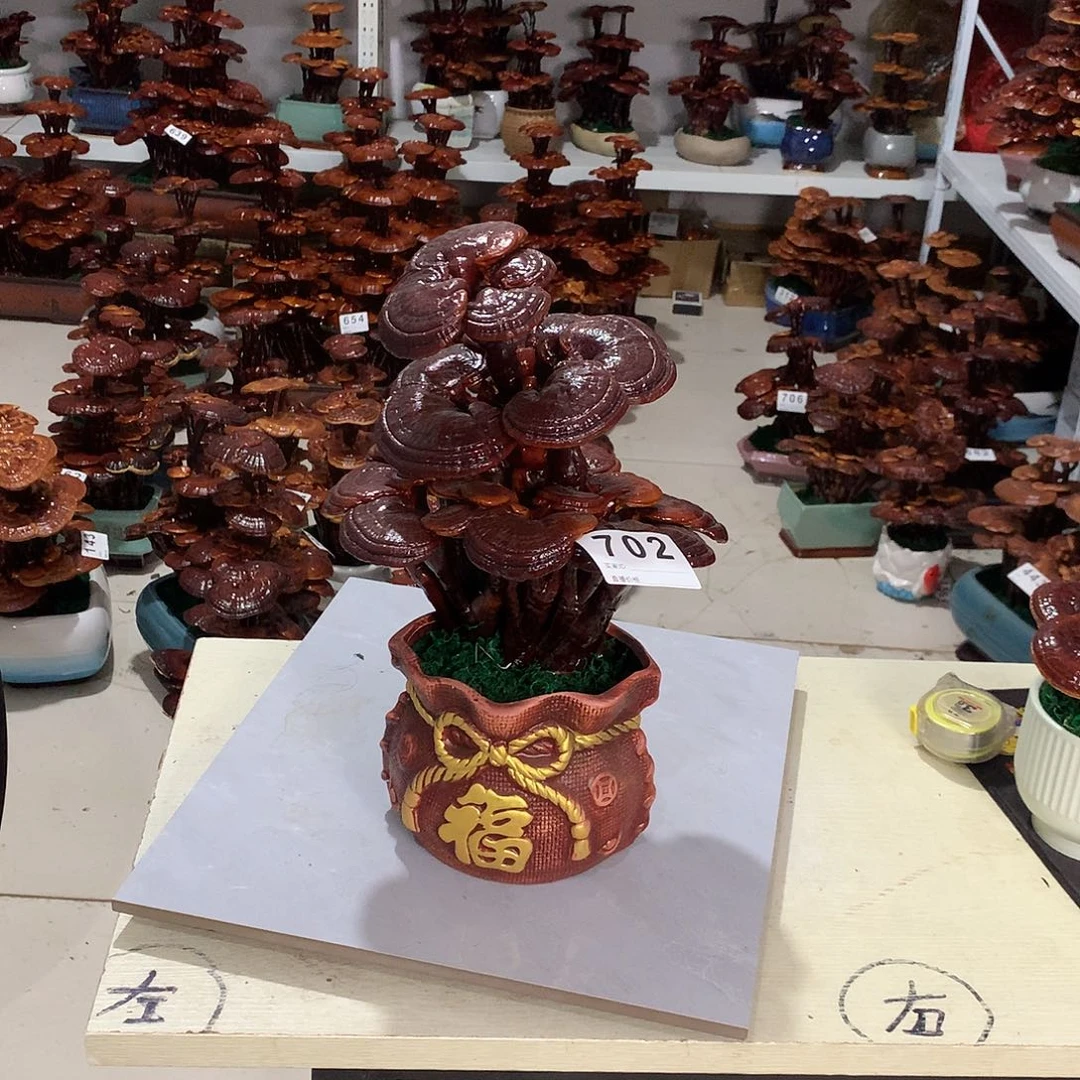 过***。全部花朵8888888888888702