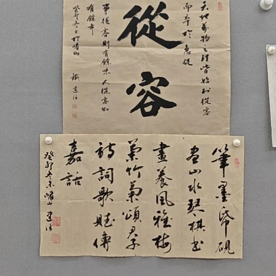铁建信老师精品书法作品