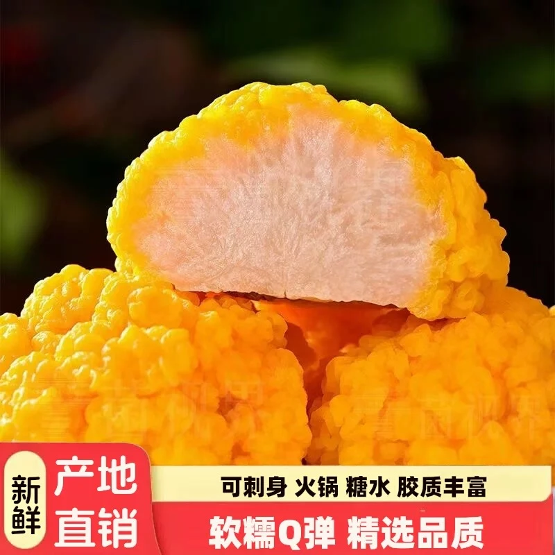 新鲜金耳菌【顺丰包邮】金耳菇黄木耳金耳黄耳菌银耳现采250g-3斤