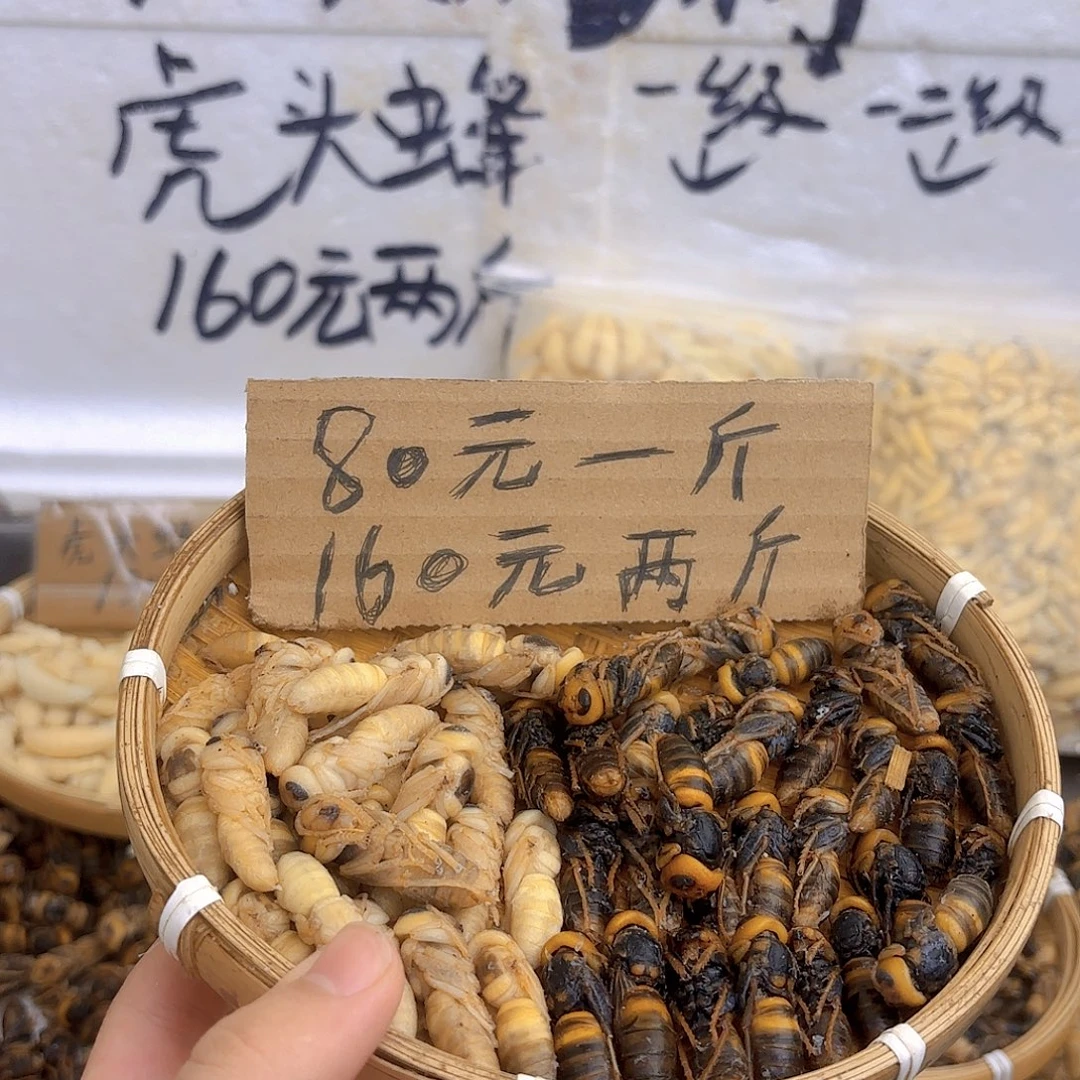 @***业30天中国大陆虎头蜂四级蜂蛹10斤