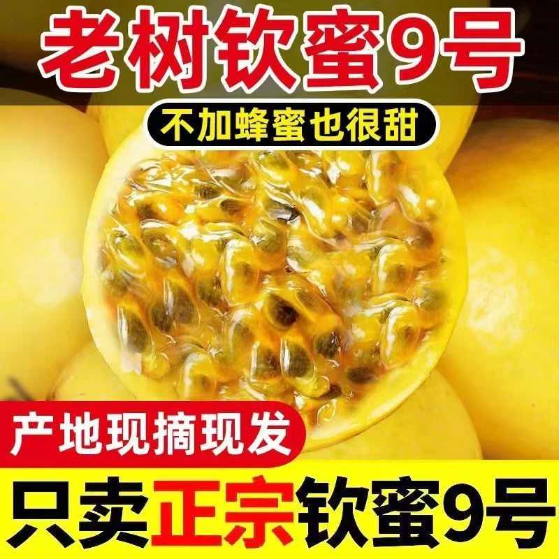 正宗钦蜜九号百香果新鲜现摘现发当季水果鲜甜多汁果肉饱满包邮