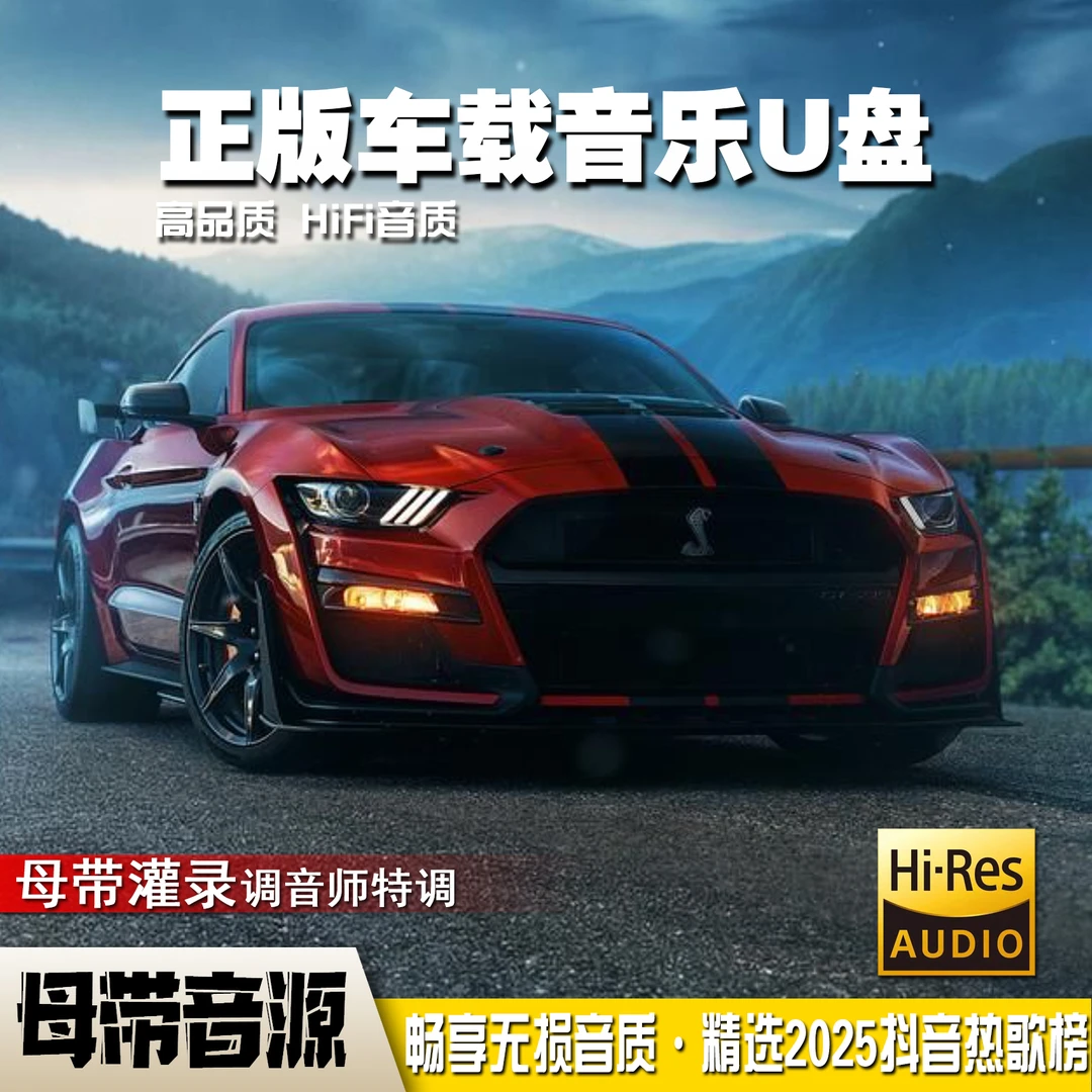 2025车载音乐U盘2000首热门歌即插即用带网络伤感经典流行DJ