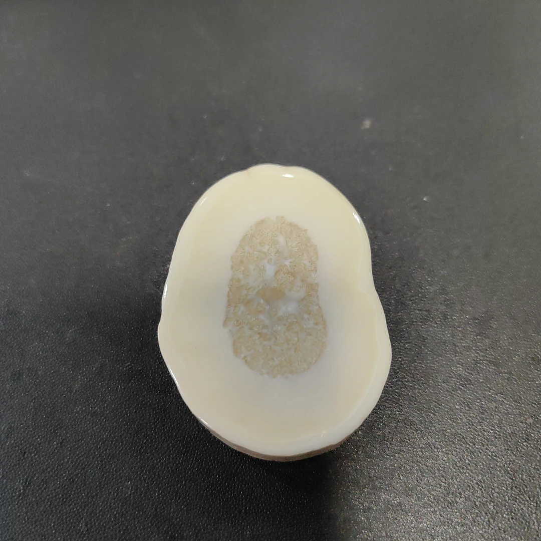 猛犸秋猛犸饼子GG415