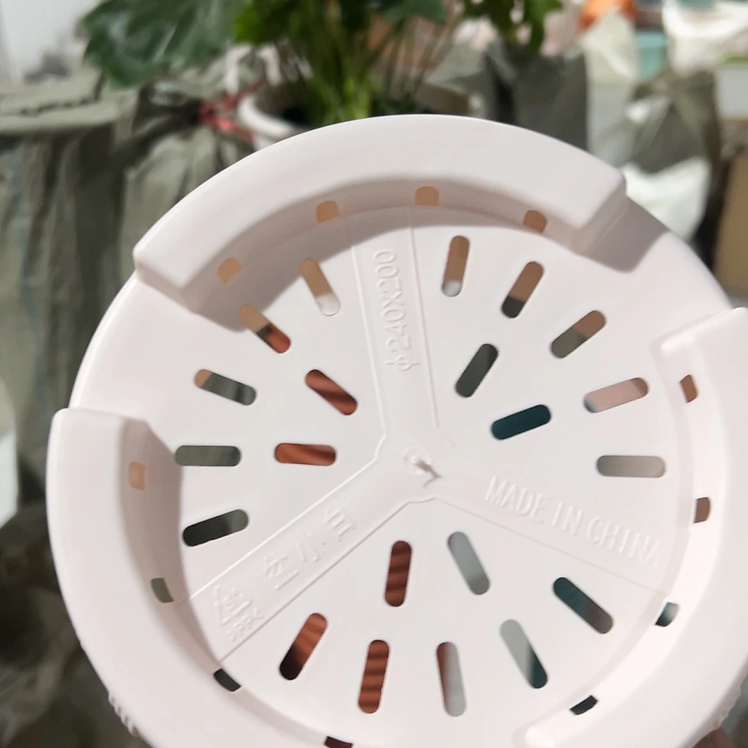 树脂罗马240粉3个无托