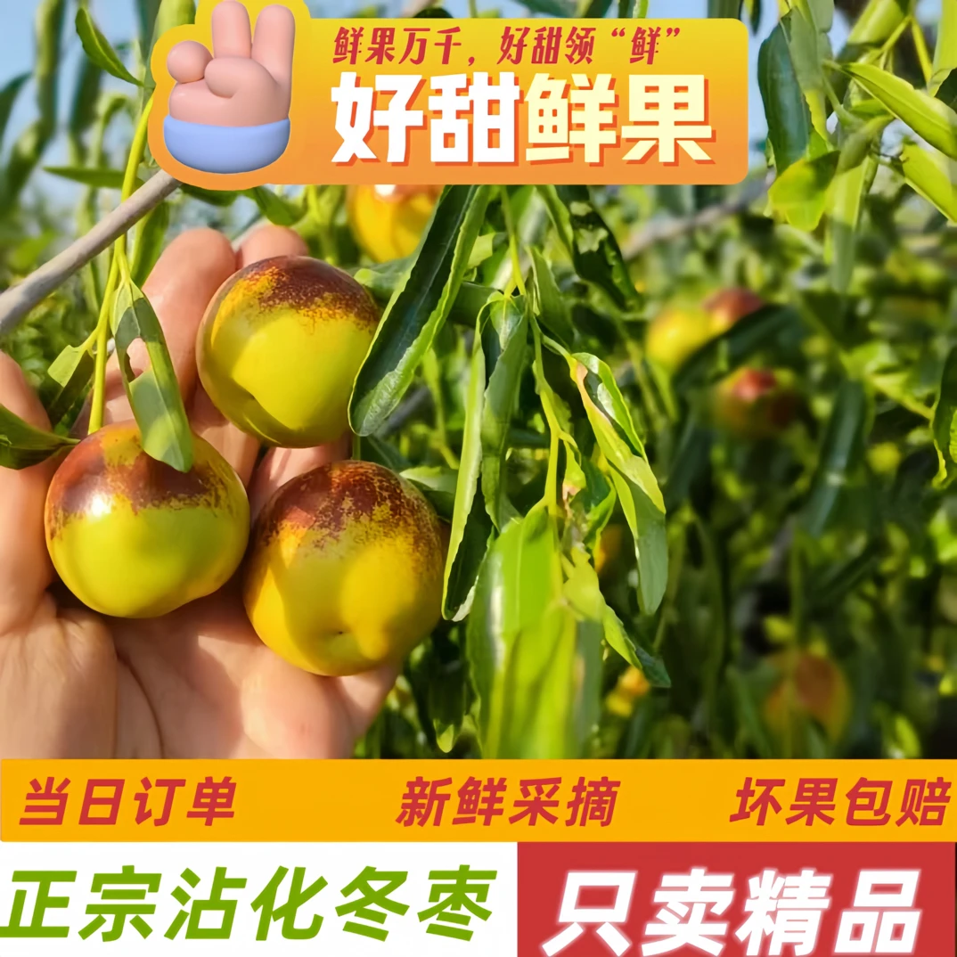 “枣”已心动！这颗沾化冬枣甜脆到离谱！