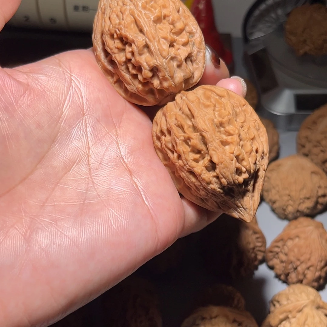 ༺***༻木质类大沽石40全品
