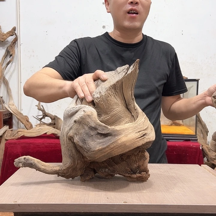 柏木沧**走我们都是好孩子呀我也是
