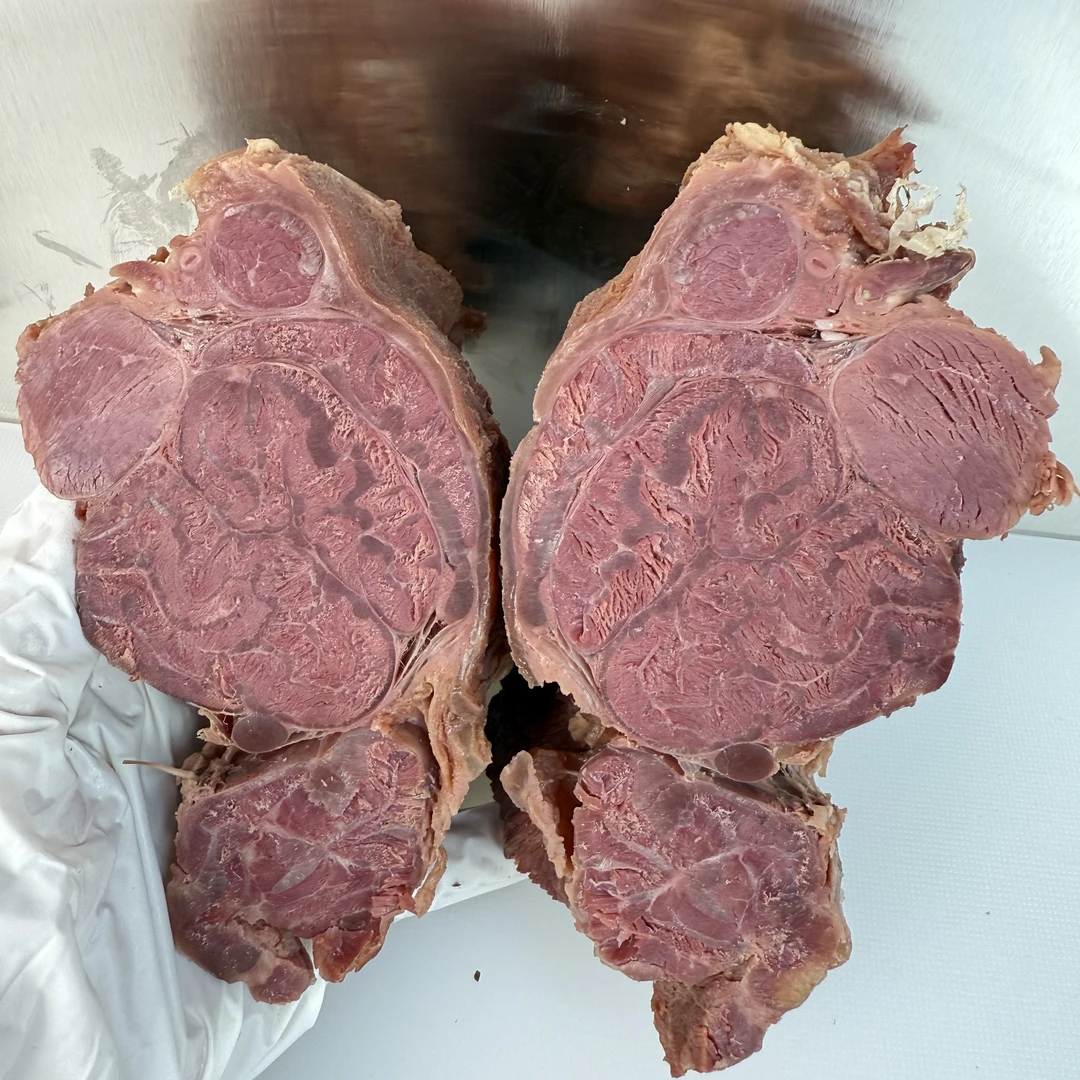 【蝴蝶腱】大花腱 筋多 有嚼劲 五香全熟 开袋即食 顺丰包邮