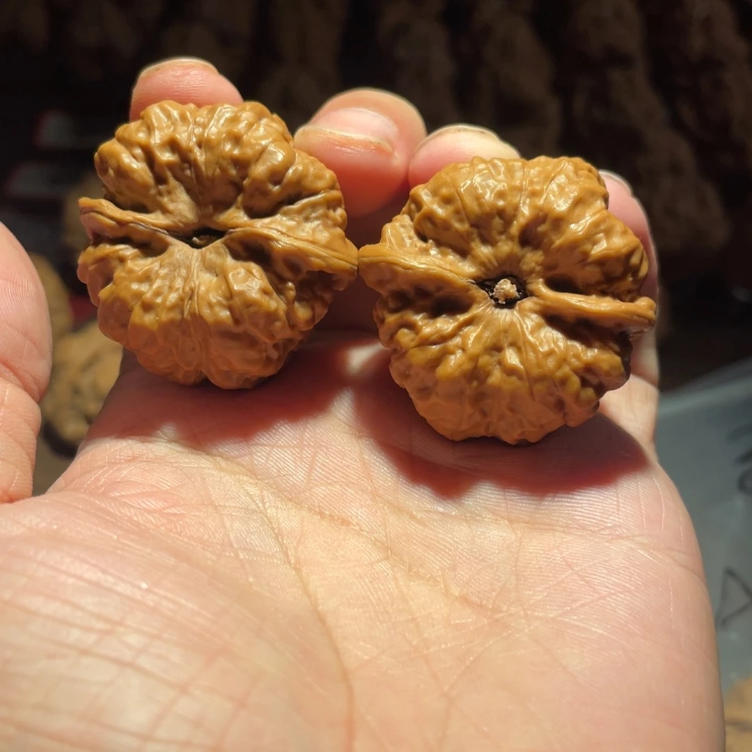 ＆***文玩核桃吊坠蛤蟆的眼睛是真的好看呀