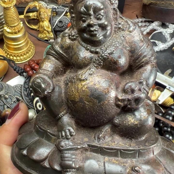 哇哈哈哈哈哈哈哈哈
