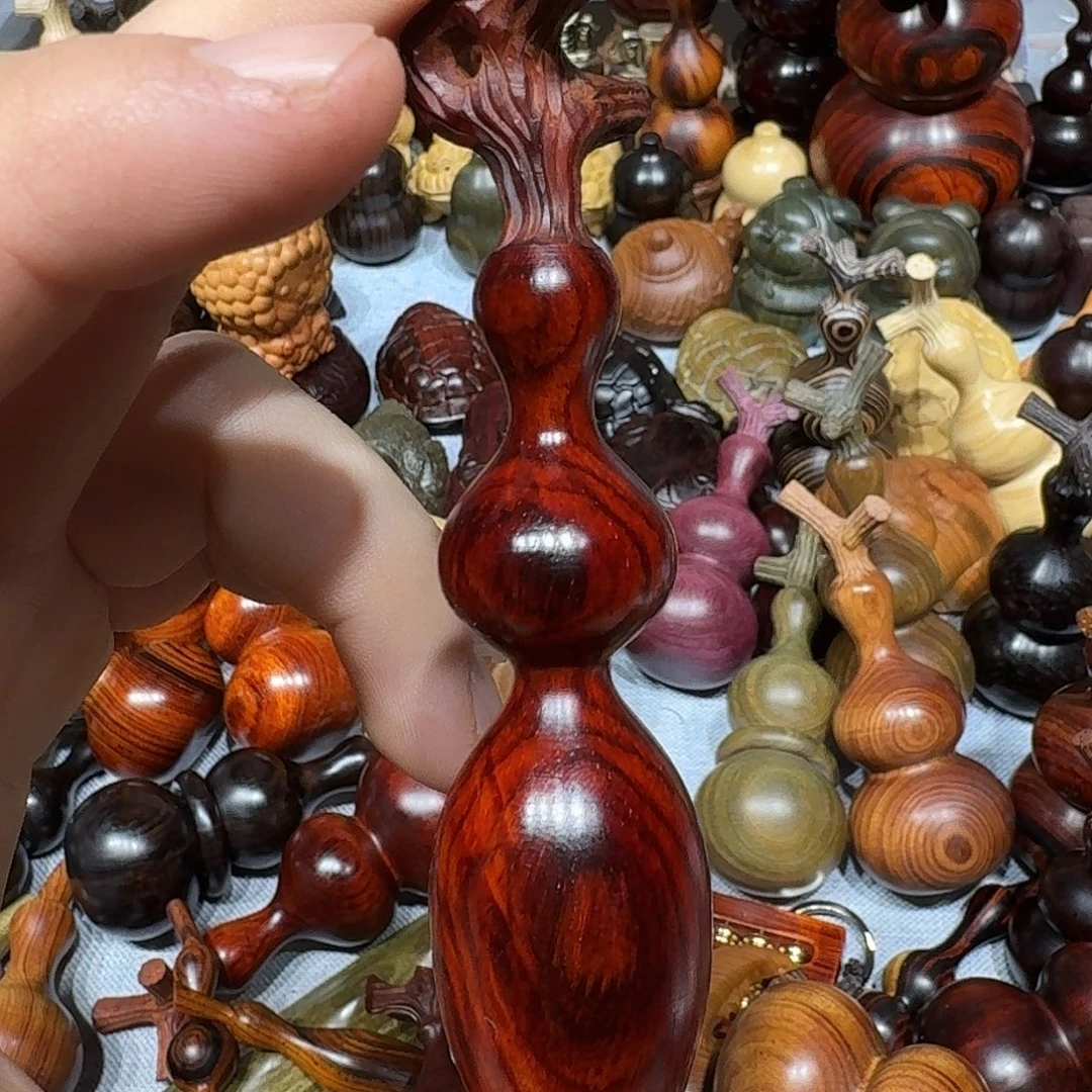 超***z木墨西哥蚂蚁葫芦