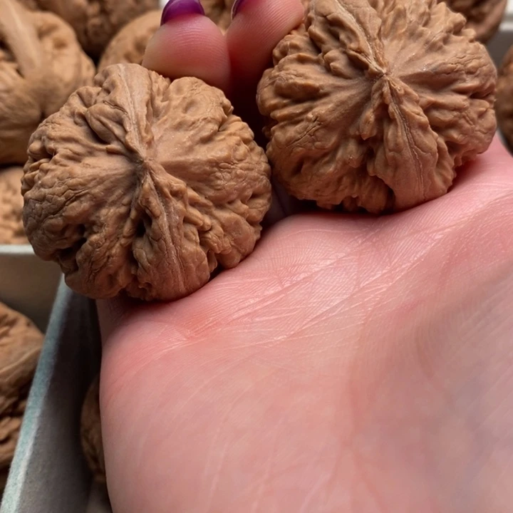 锐***挡霸王龙全品无修一刀没动