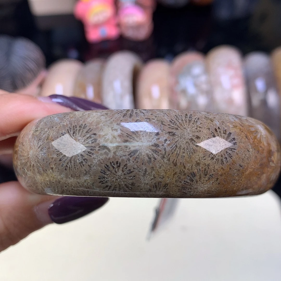 【闪购商品】颈饰未镶嵌硅化珊瑚（珊瑚玉）精品手镯54.5（25号）