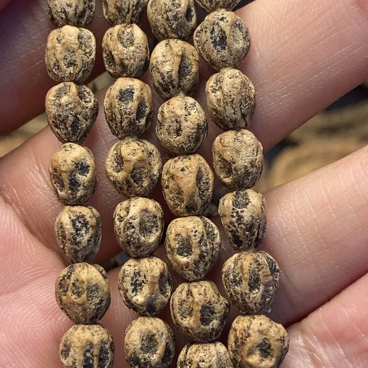 G***C其他柏木双面鬼藏风