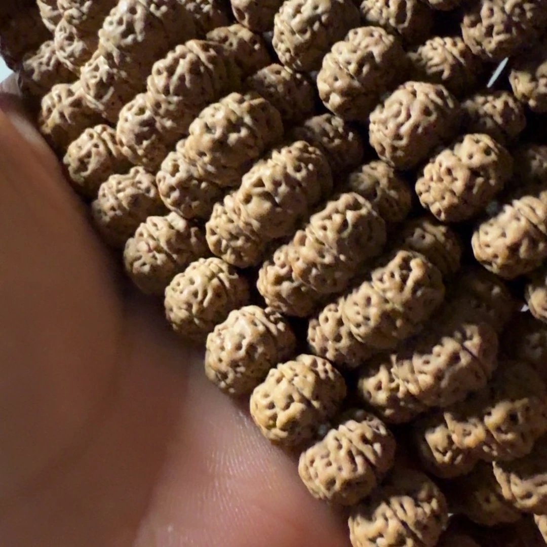 金刚菩提吊坠勿理达老树王