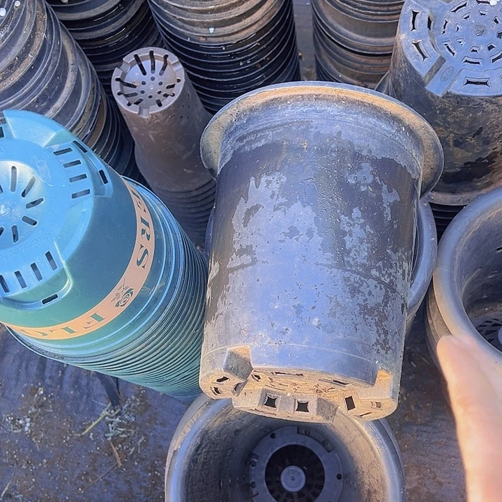 兰花盆口径21高23发5个