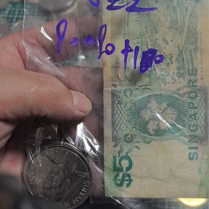 小***星普通金属币流通品相硬币