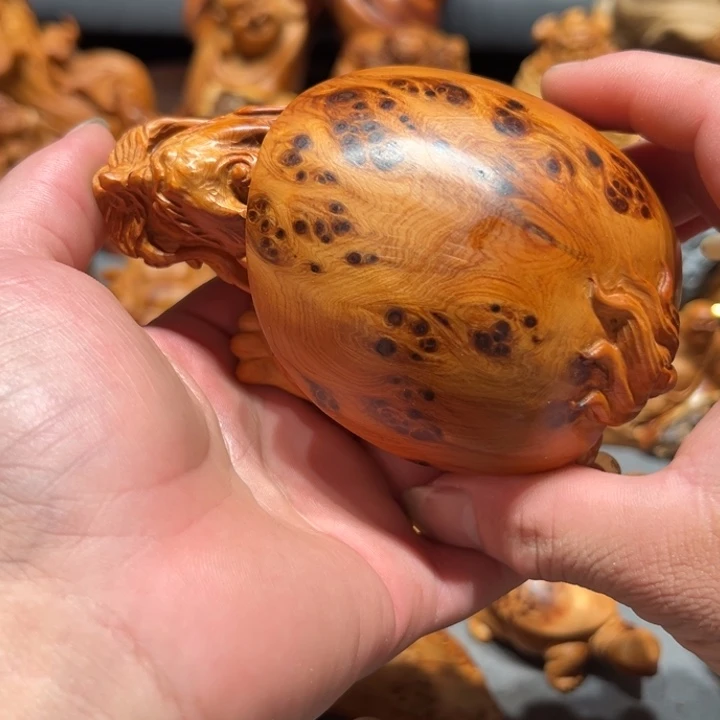 柏木（崖柏）点点关注