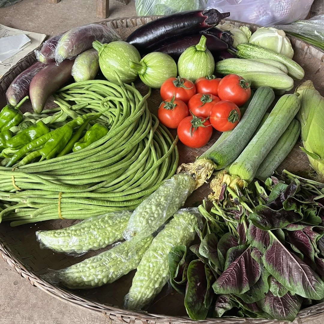 【十种菜】一筐混搭各种应季蔬菜农家菜没施肥没打药
