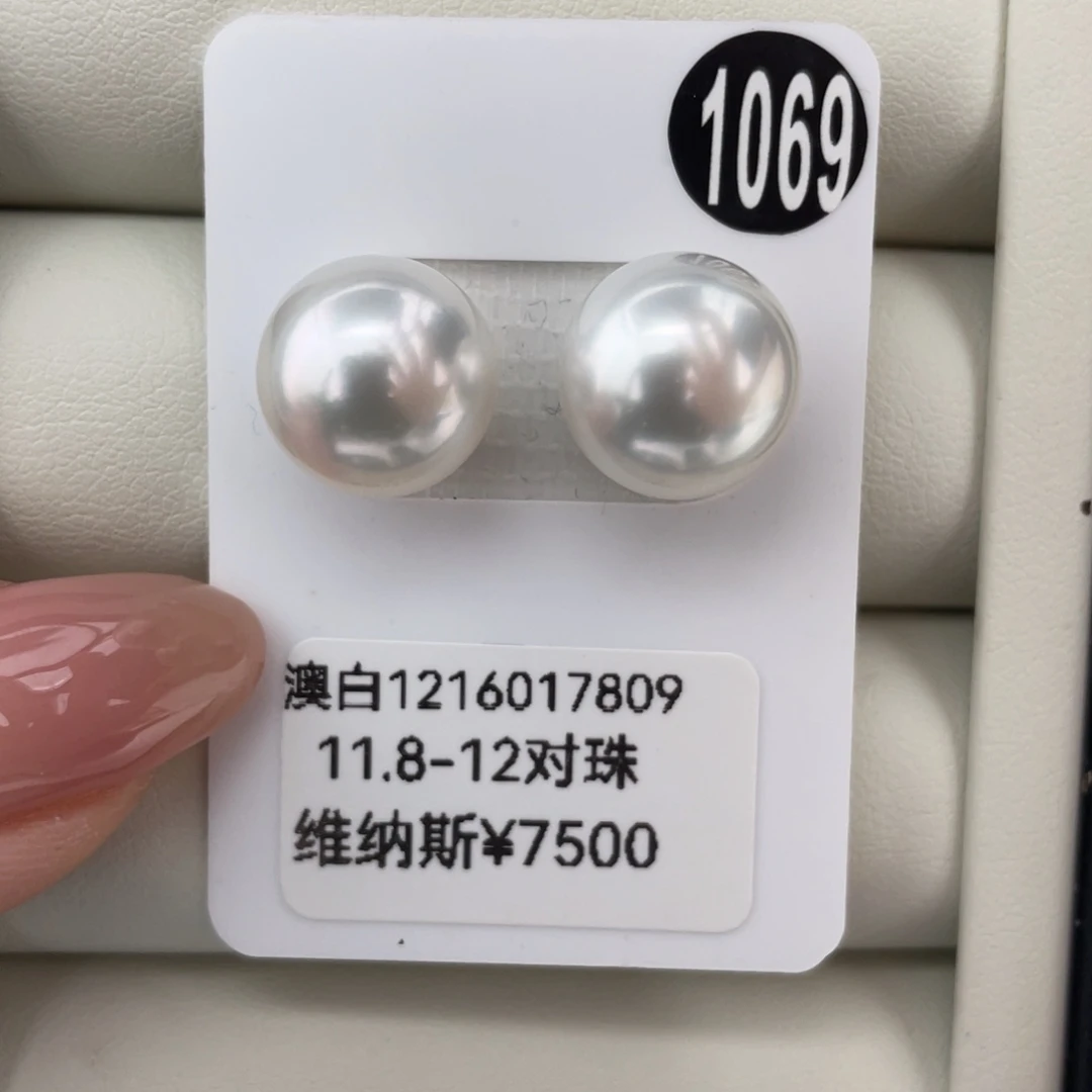 定制海水珍珠未镶嵌耳饰澳白维纳斯11.8-12mm
