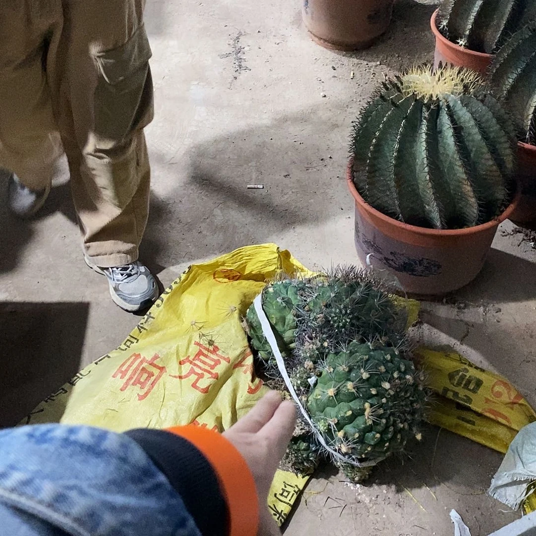 石***布新天地一颗。