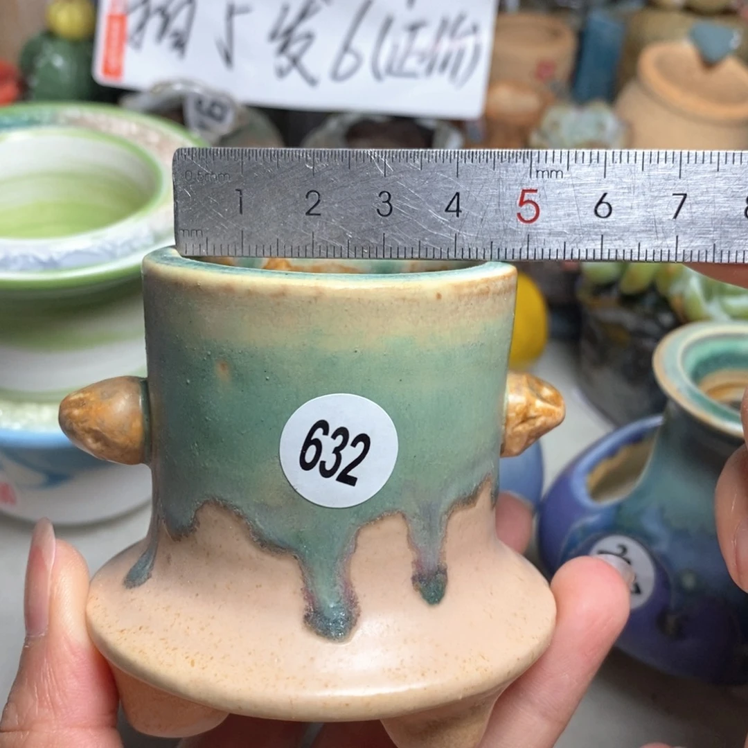 拍5送一个小礼物