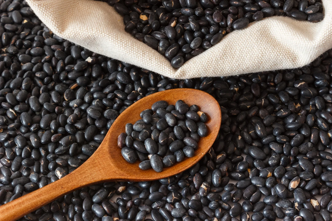 农家自种老品种肾形黄仁小黑豆小黄豆可打豆浆发豆芽