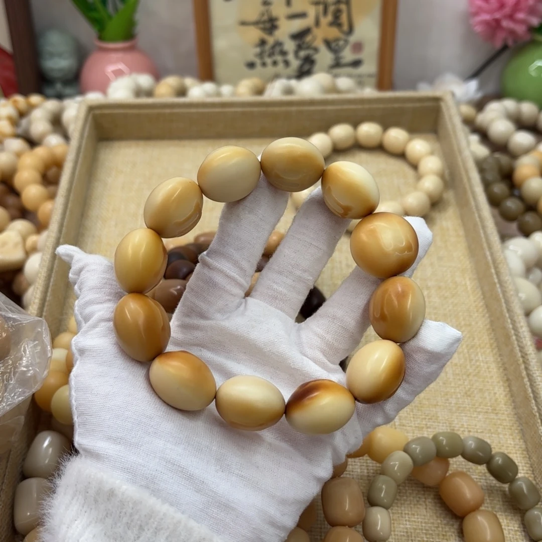 吊坠菩提根/象牙果牙果瑕疵干磨232