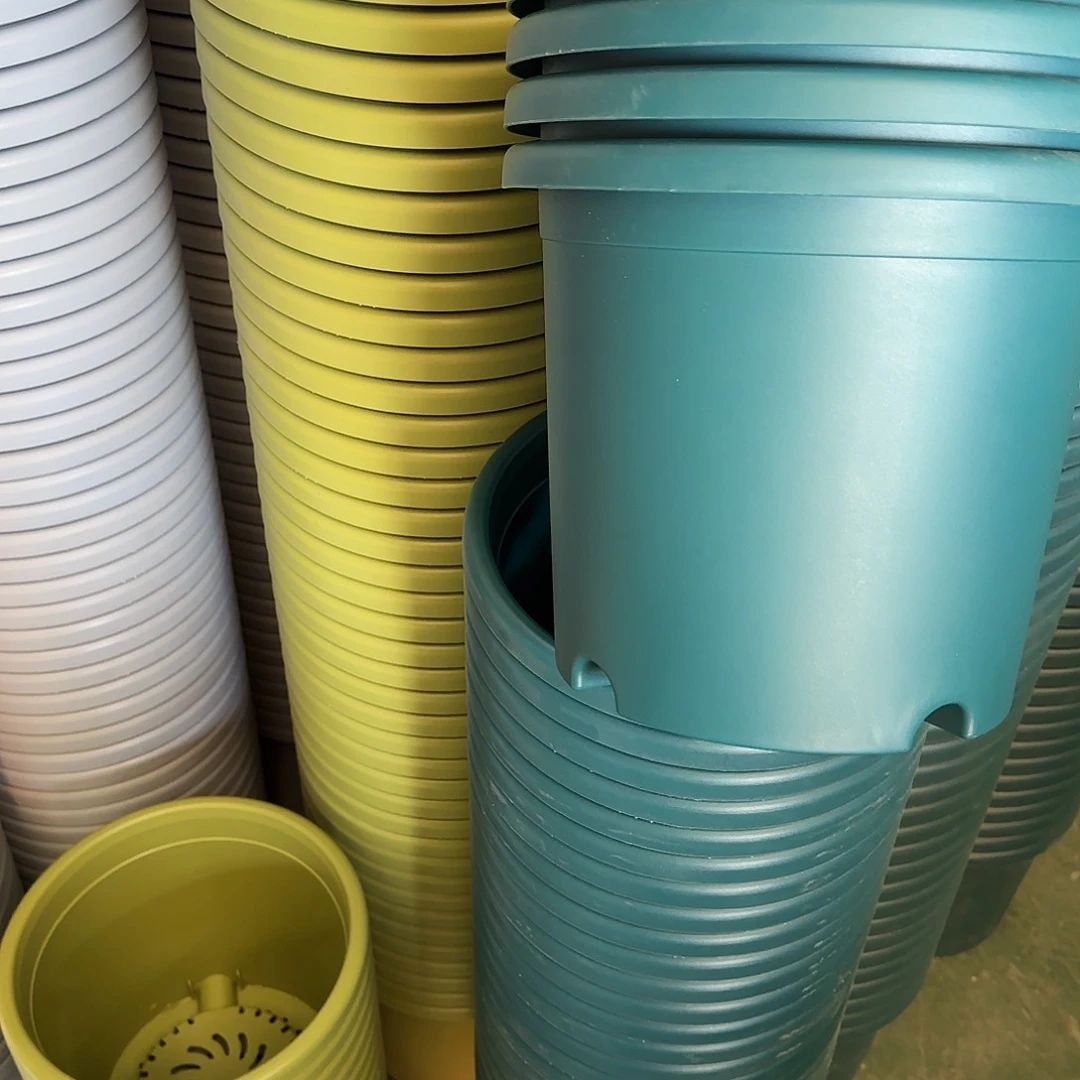 树脂四季4号无托6个军绿