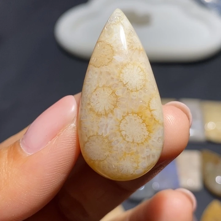 【闪购商品】未镶嵌珊瑚玉硅化玉