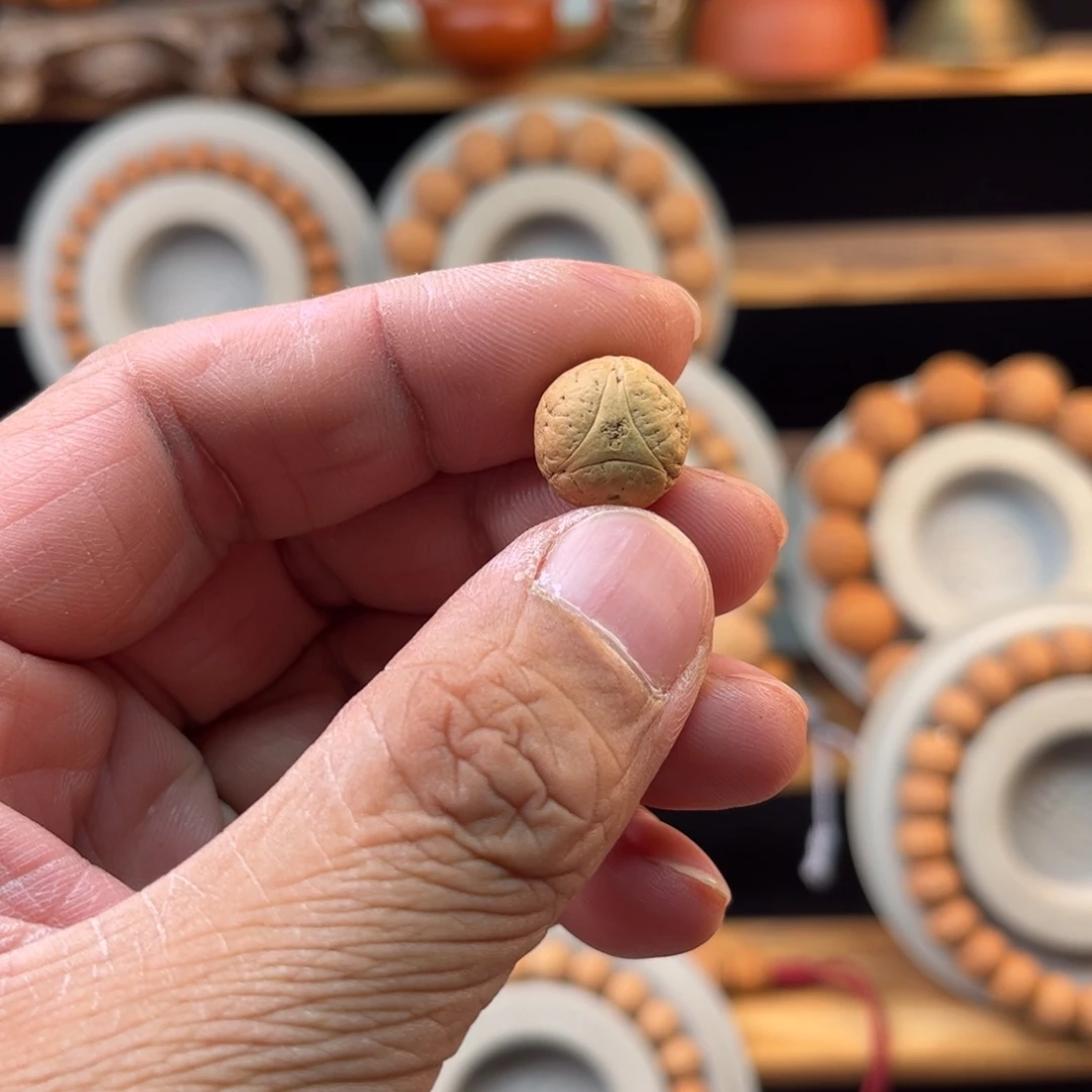 凤眼菩提吊坠14.5龙眼一颗