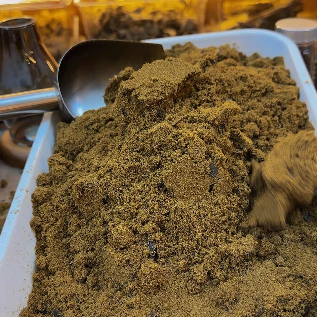 沉香沉香木制品糖结品种沉水距粉100克多样性发其一