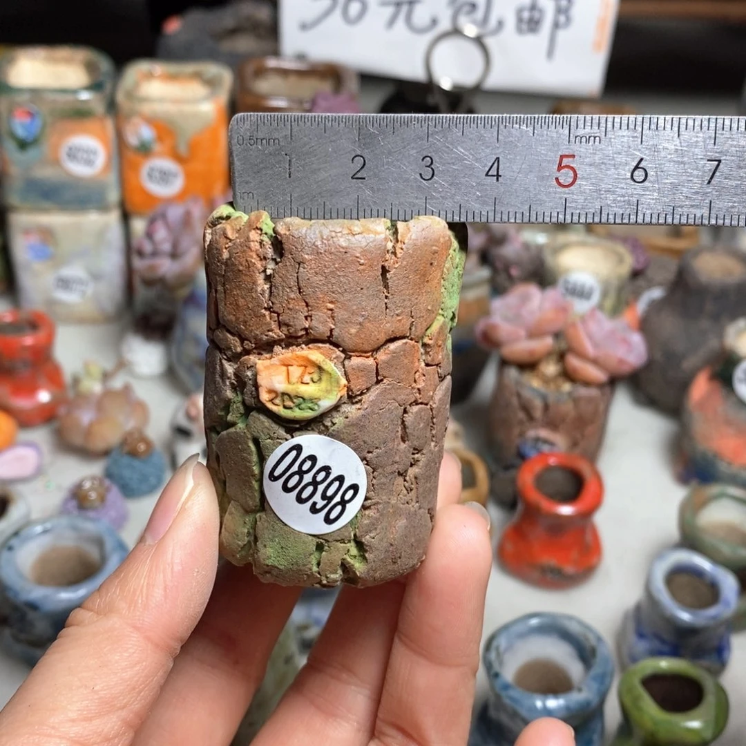 多肉花盆拍3送一个小礼物．