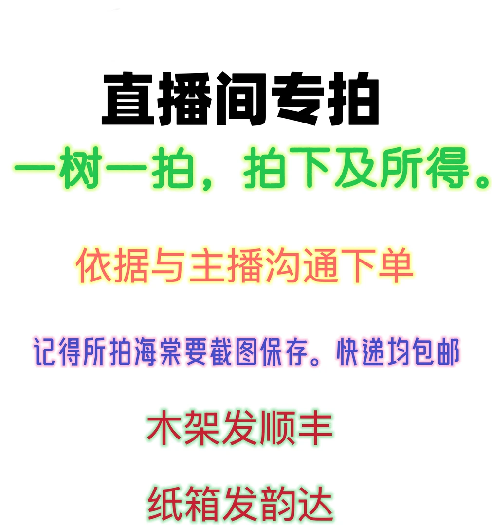 基地培育,海棠品种多样化,盆栽海棠