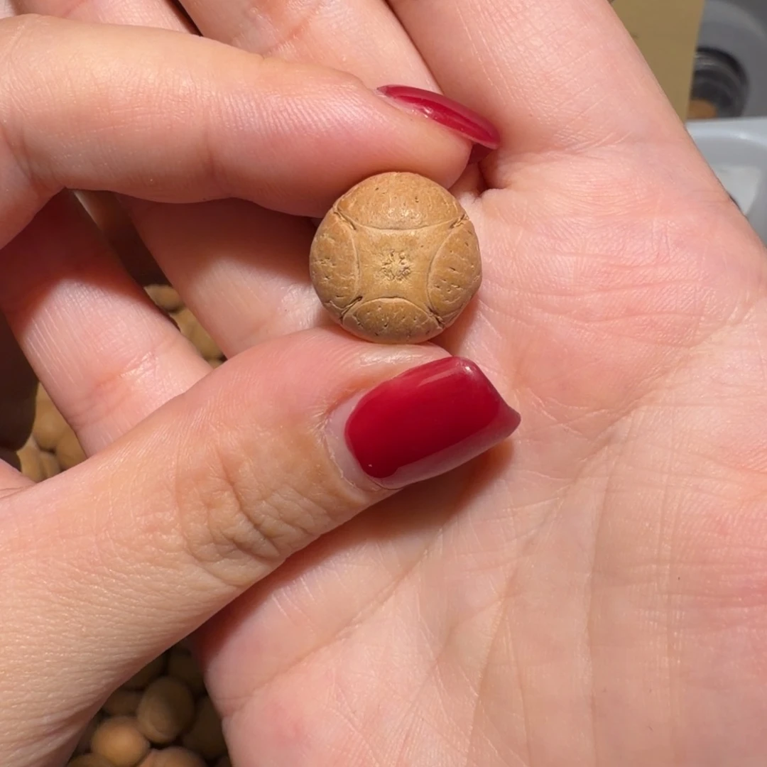 原****吊坠龙眼菩提原点