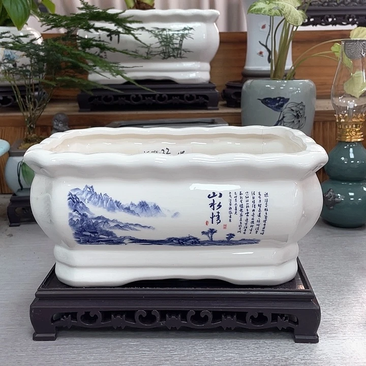 陶瓷花盆抢购福利活动