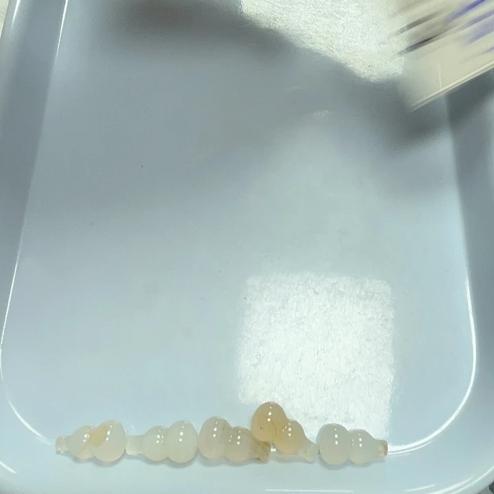 未镶嵌颈饰玛瑙/玉髓