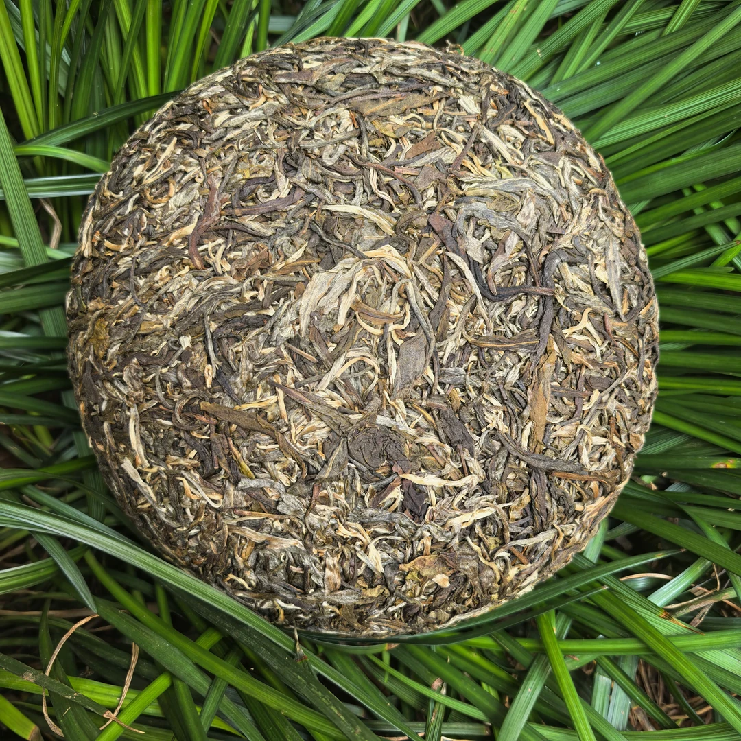 2019年磨烈古树茶订制版，兰香野韵，口感超级棒