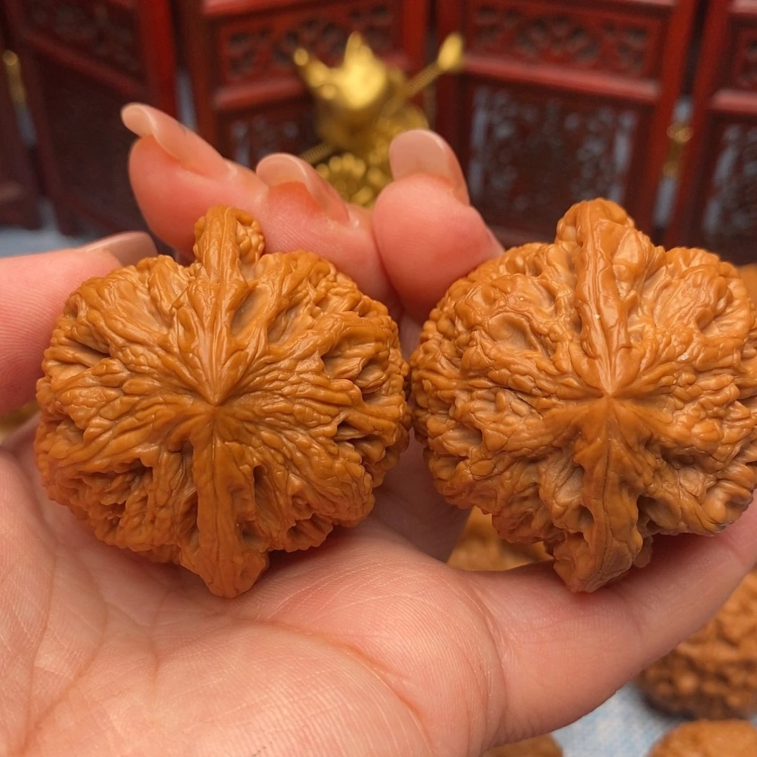 把件文玩核桃46.5全品毕业粗筋