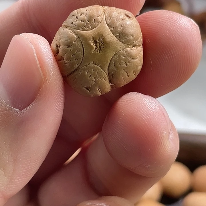 手串凤眼菩提尼泊尔小fy