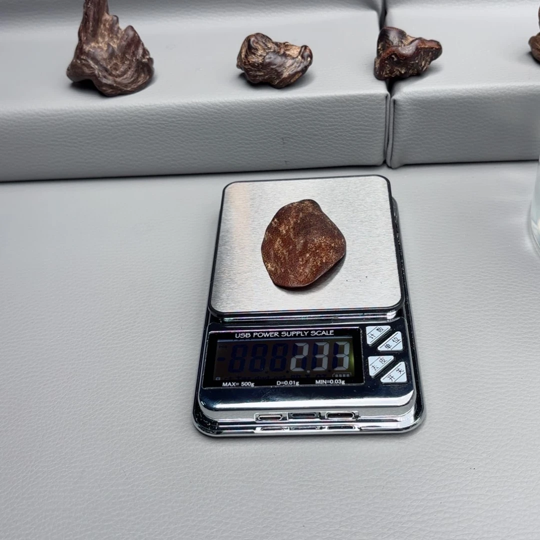 惠安惠安惠安惠安