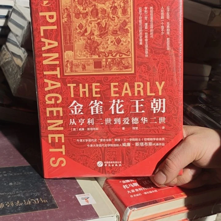 金雀花精装精装精装全新