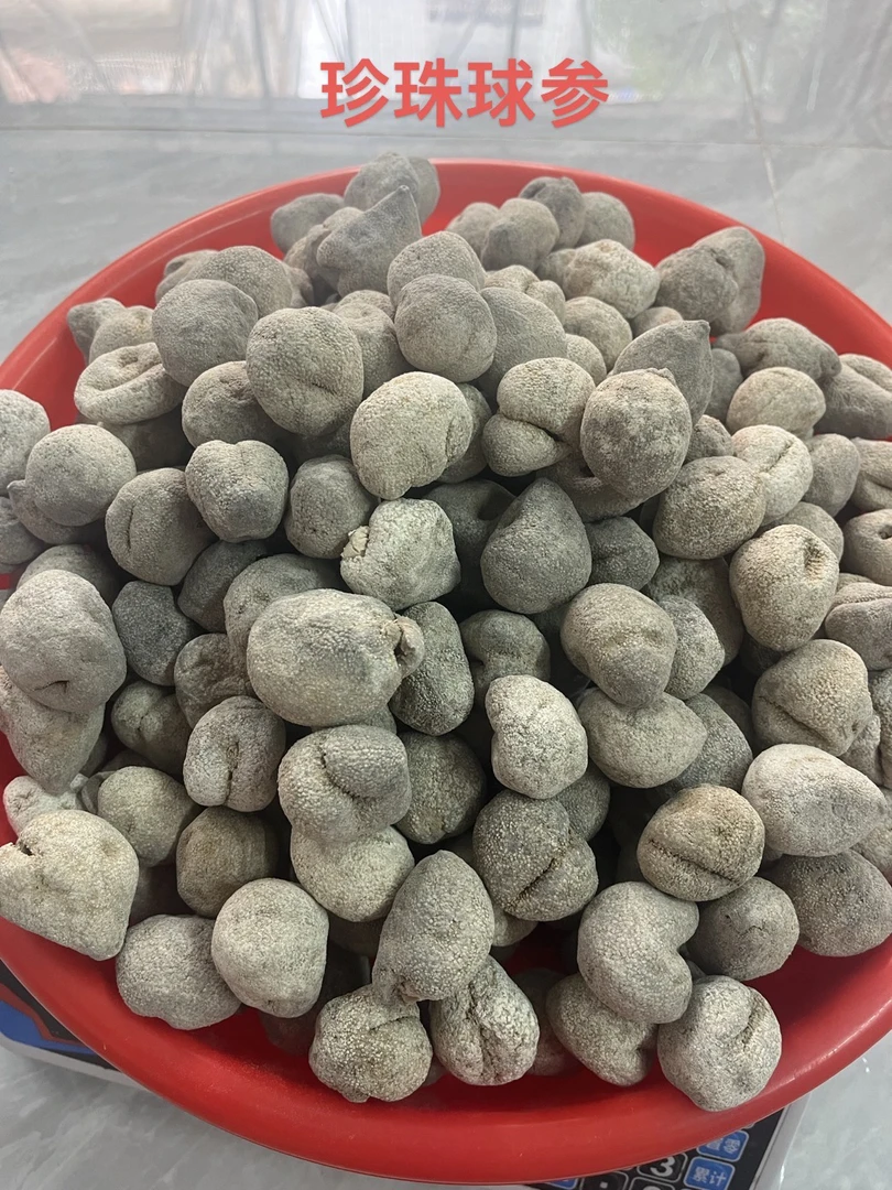 广东汕尾28头珍珠球参淡干海参干货肉质厚炖汤焖煮