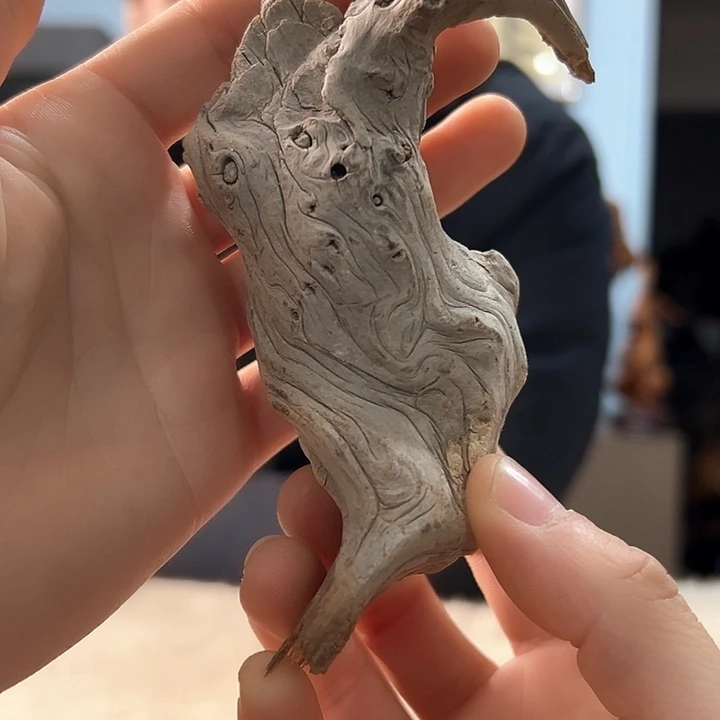 柏木鸿*我们都是好孩子呀我也