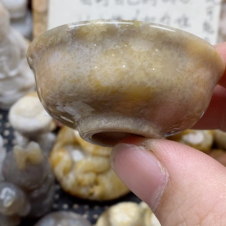 硅化珊瑚（珊瑚玉）未镶嵌颈饰