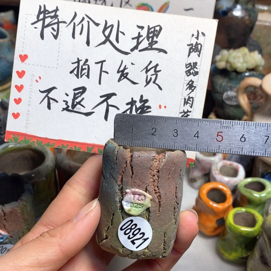 特价花盆不退换的，原价28元