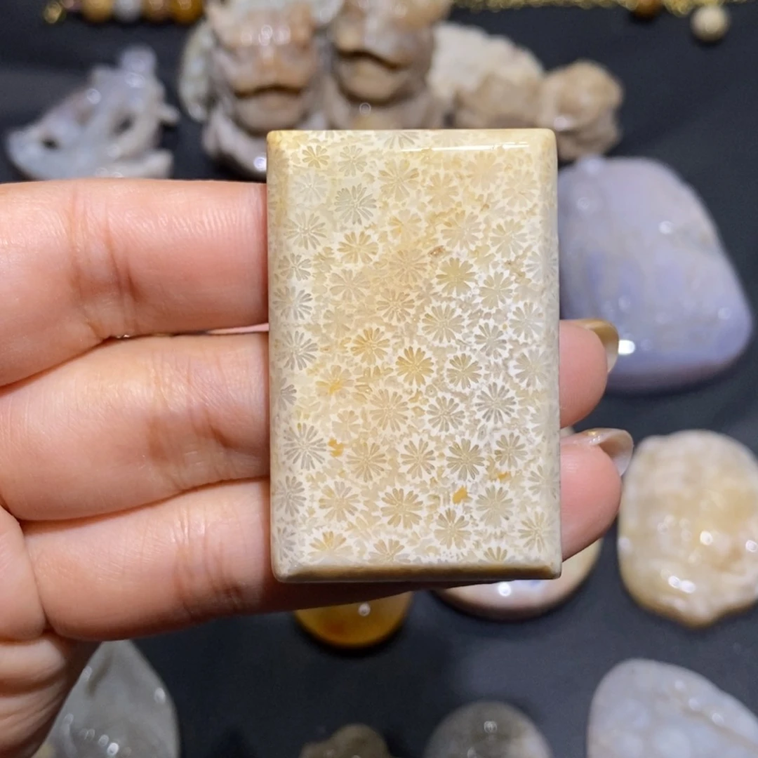 【闪购商品】未镶嵌珊瑚玉硅化玉