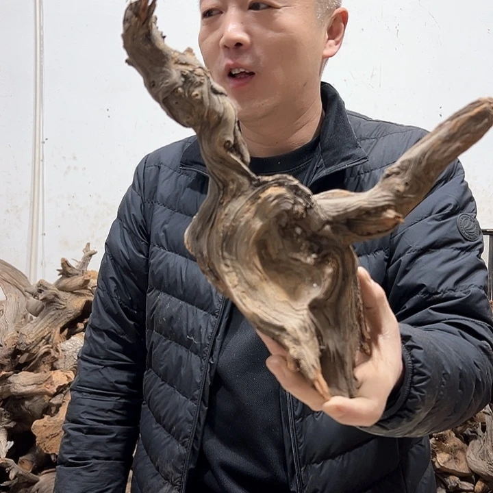 柏木叶*我们的生活是以自己